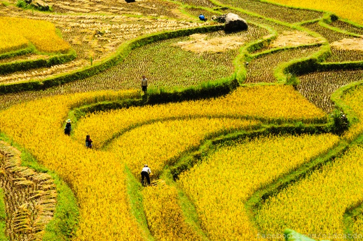 Sapa terraced fields among top 30 beautiful places globally - 9