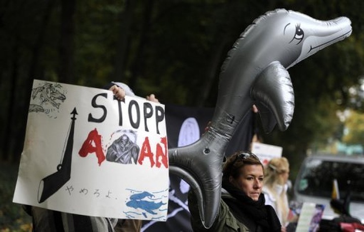 Worldwide anti-dolphin, whale hunt rallies planned - 1 Worldwide anti-dolphin, whale hunt rallies planned - 1