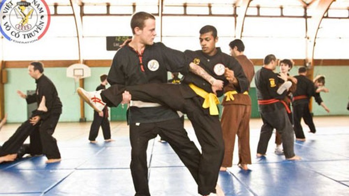 Vietnam’s martial arts gain popularity in France - 2