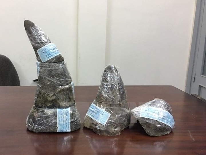 Wildlife NGOs demand strict punishment for trafficking leader - 1