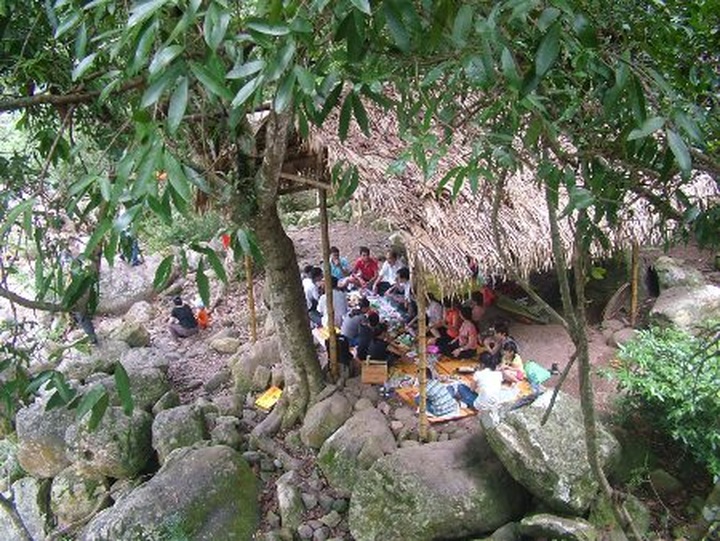 Bird-nest restaurants new feature in Quang Binh eco-resort - 3