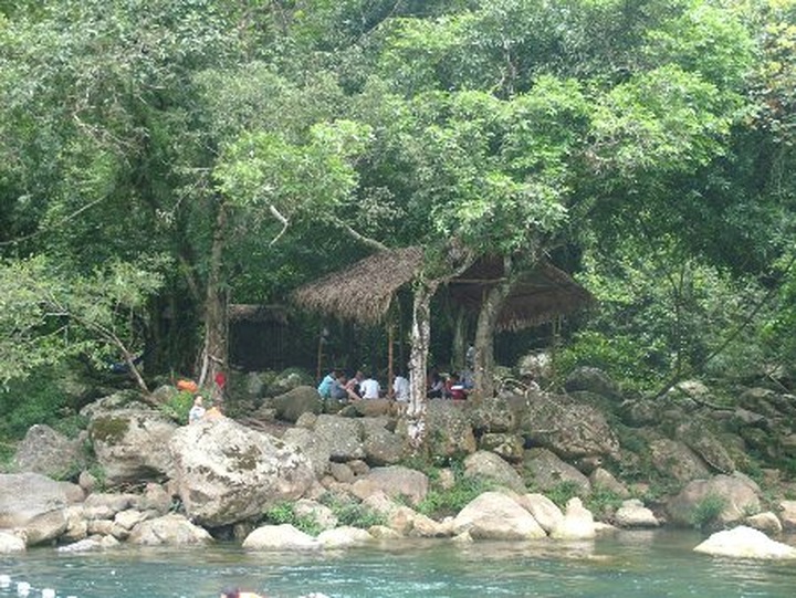 Bird-nest restaurants new feature in Quang Binh eco-resort - 6