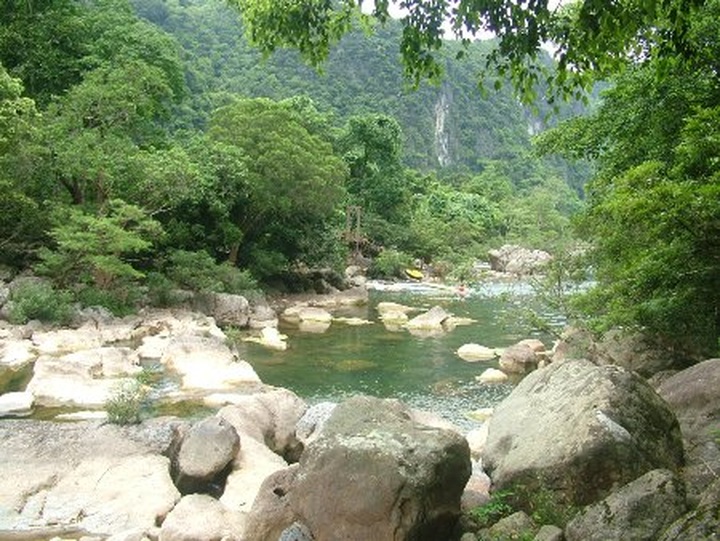 Bird-nest restaurants new feature in Quang Binh eco-resort - 2