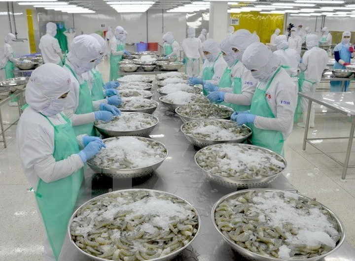 Switzerland imports over 50 percent shrimp from Vietnam - 1