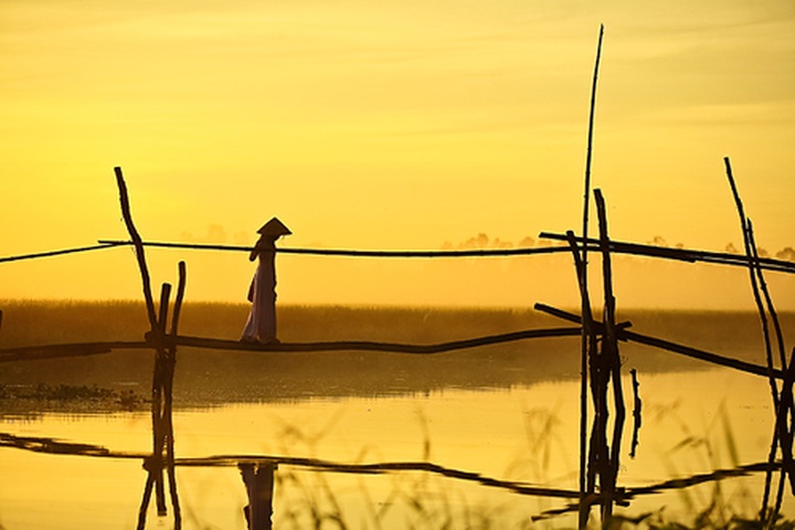 Vietnam’s landscapes hit Russian headlines - 23 Vietnam’s landscapes hit Russian headlines - 23