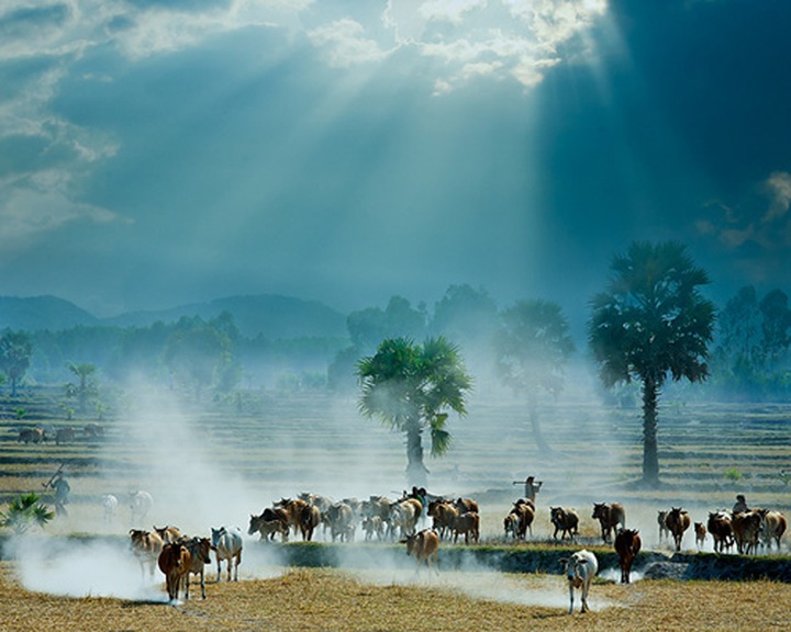 Vietnam’s landscapes hit Russian headlines - 6 Vietnam’s landscapes hit Russian headlines - 6