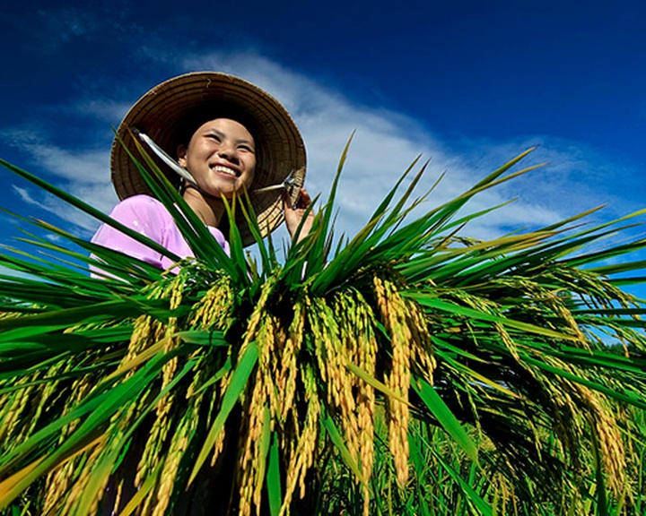 Vietnam’s landscapes hit Russian headlines - 8 Vietnam’s landscapes hit Russian headlines - 8