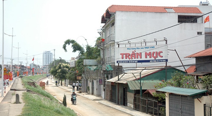 Dog-meat business lacks bite in Nhat Tan - 2