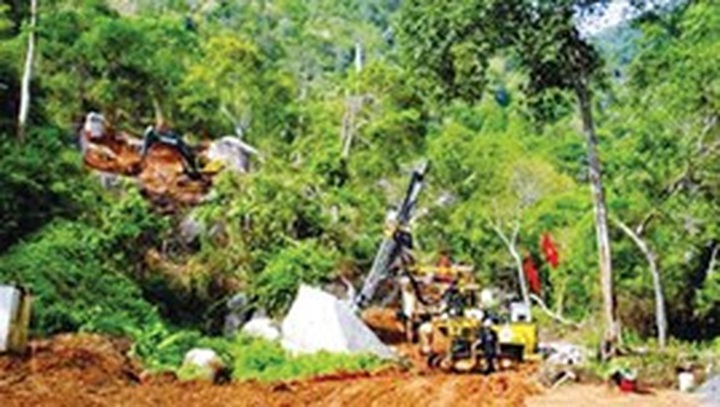 Vietnam’s biodiversity under threat - 1