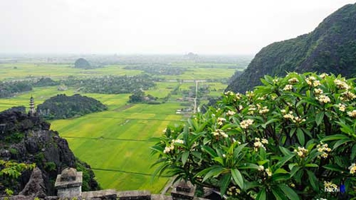View of Tam Coc from atop Mua Cave - 3