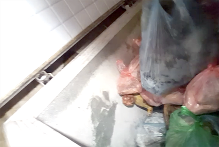 Tam Dao tourist site famed as wild meat mecca - 5