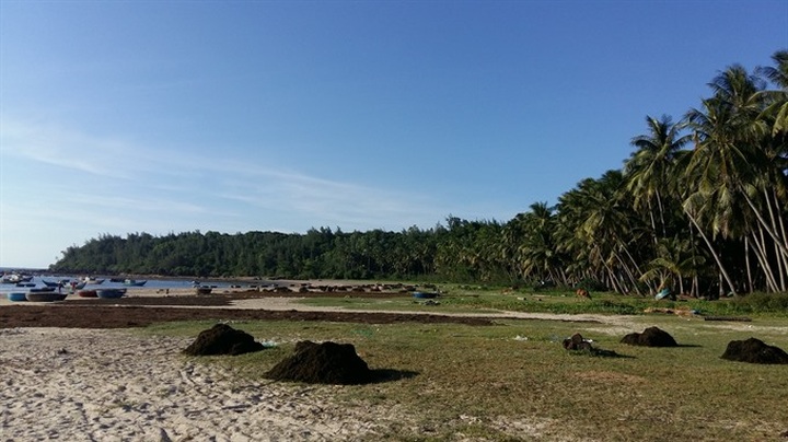 Eco island fights flood of rubbish - 1 Eco island fights flood of rubbish - 1