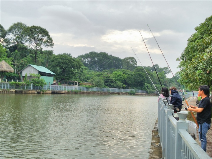 HCM City canals suffer illegal fishing - 1
