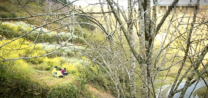 Amateur movie makers draw attention to Vietnam's north-west - 1