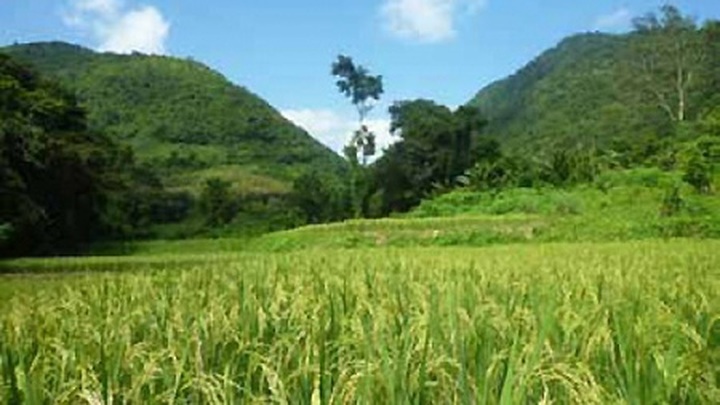 $84 million for low-carbon agricultural support - 1
