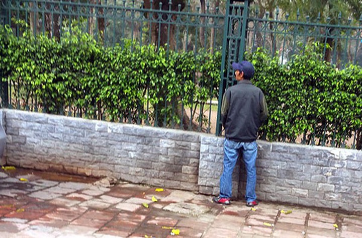 HCM City mulls CCTV shaming to prevent urination - 1