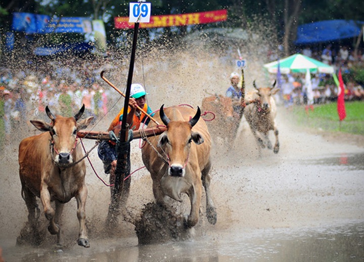 Exhibition showcases Vietnam’s beauty - 4