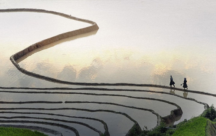 Exhibition showcases Vietnam’s beauty - 5