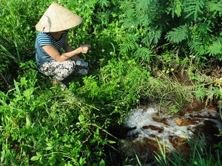 Pollution from dairy farm forces families to relocate - 1