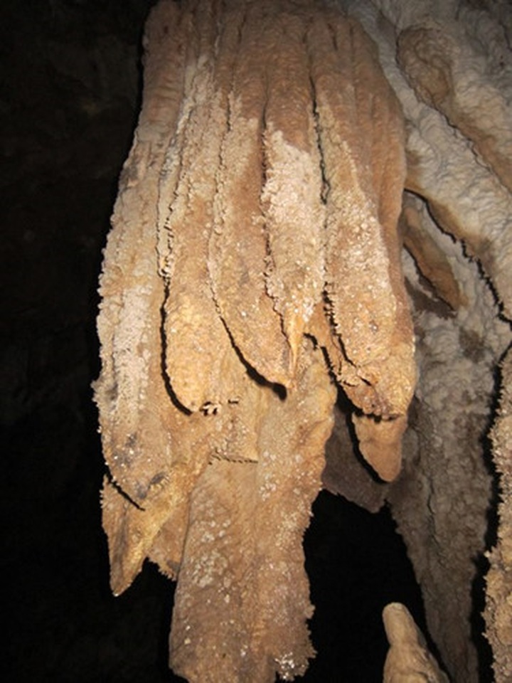 Residents discover new cave in Thanh Hoa - 2