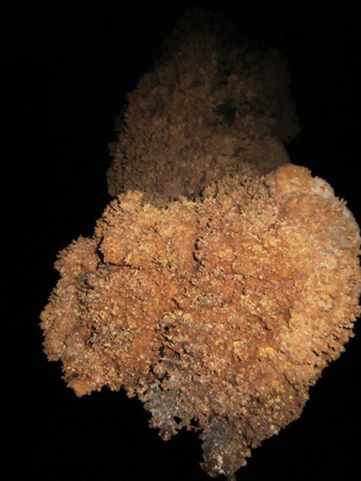 Residents discover new cave in Thanh Hoa - 7