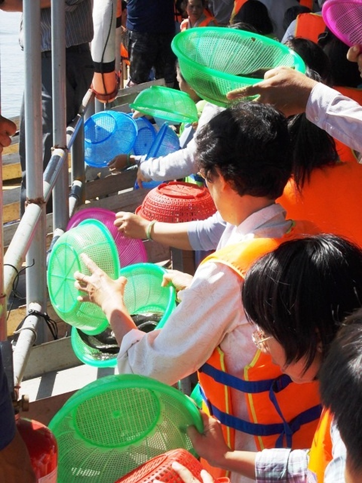 Fish-releasing ritual on Saigon River gains attention - 6