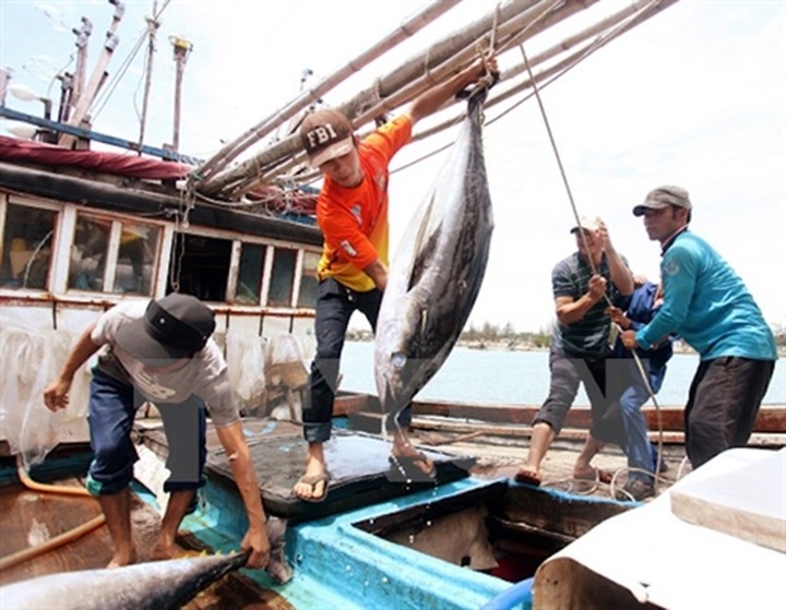 Thailand to receive Vietnamese workers for fishing, construction - 1 Thailand to receive Vietnamese workers for fishing, construction - 1