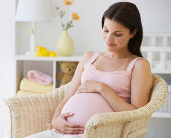 Firm operates elaborate maternity payment con - 1