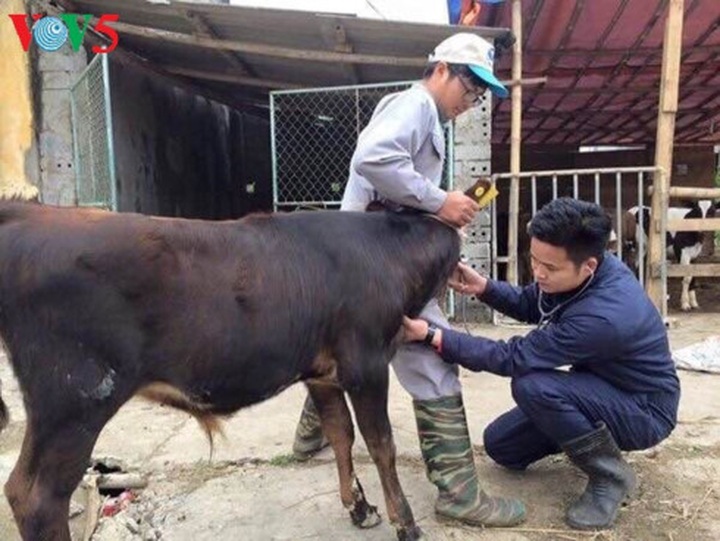 Young teacher creates employment opportunities for students - 1