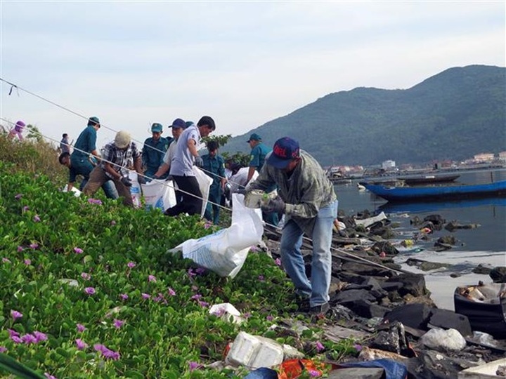 Da Nang marks World Ocean Day - 1
