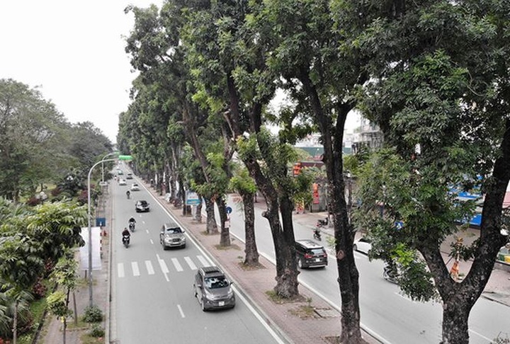 Hanoi cuts pavements to fight congestion - 1