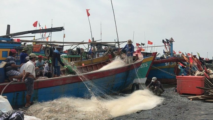 More than 100,000 HCM City households evacuated as typhoon nears - 8