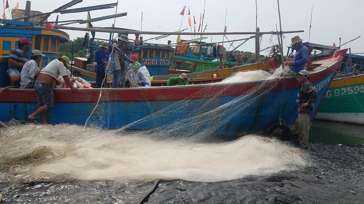 More than 100,000 HCM City households evacuated as typhoon nears - 2