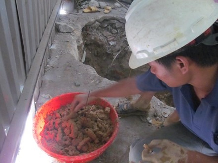 Quảng Bình resident finds 200 skulls in garden - 1