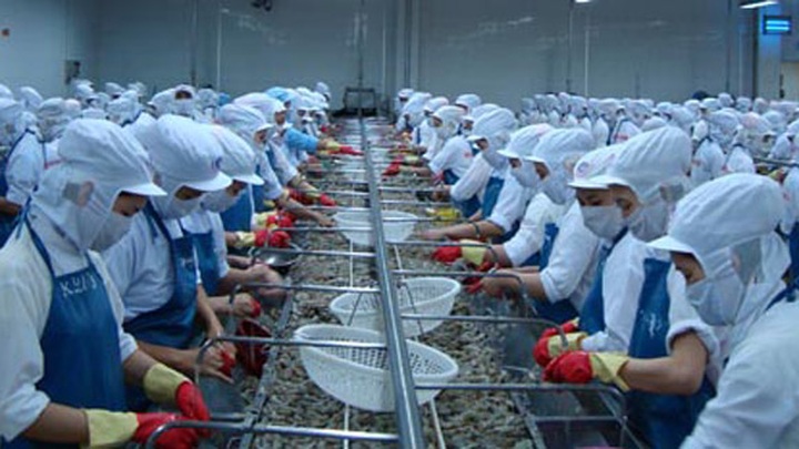 Vietnam opposes US shrimp subsidy lawsuit - 1 Vietnam opposes US shrimp subsidy lawsuit - 1