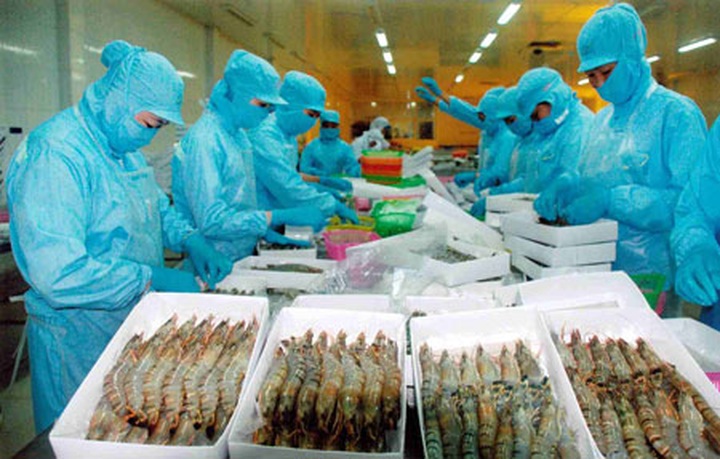 South Korea’s ethoxyquin standard worries Vietnamese shrimp exporters - 1