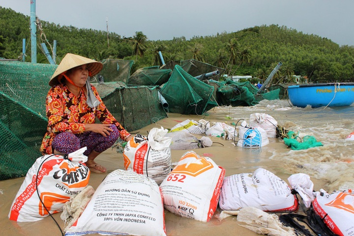 Storm Damrey causes huge losses for lobster farmers in Phu Yen - 8