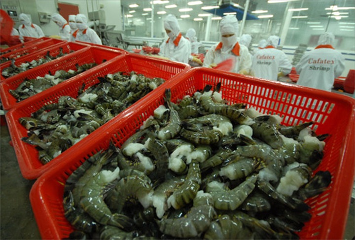 Shrimp exports reach US$ 2.25 billion - 1