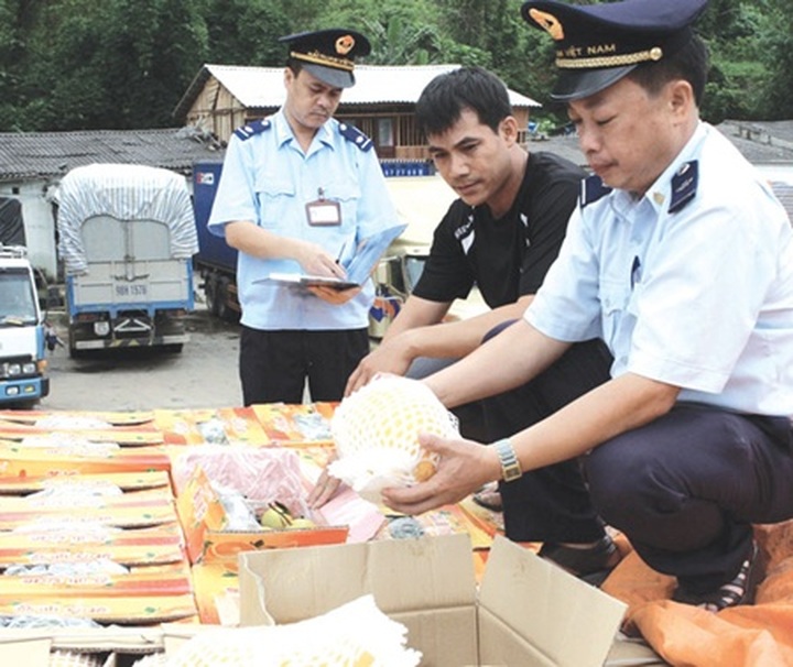 Customs officers to get more power - 1 Customs officers to get more power - 1