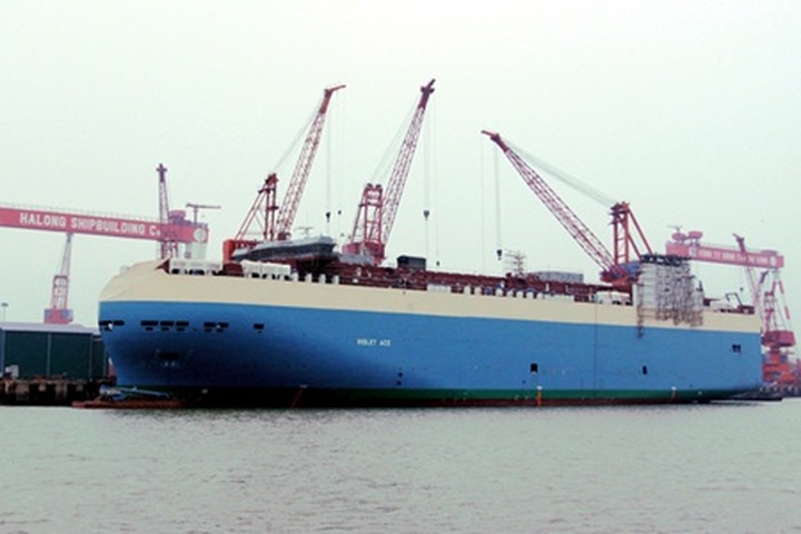 Vinalines asks for Government aid - 1