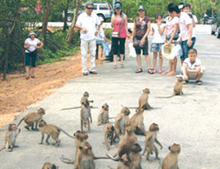 Coastal tourism has rosy future - 1 Coastal tourism has rosy future - 1