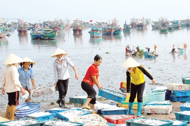 Draft law to focus on seas - 1