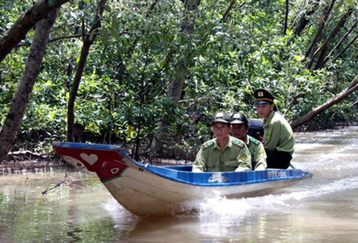 Vietnam takes stock of resources - 1