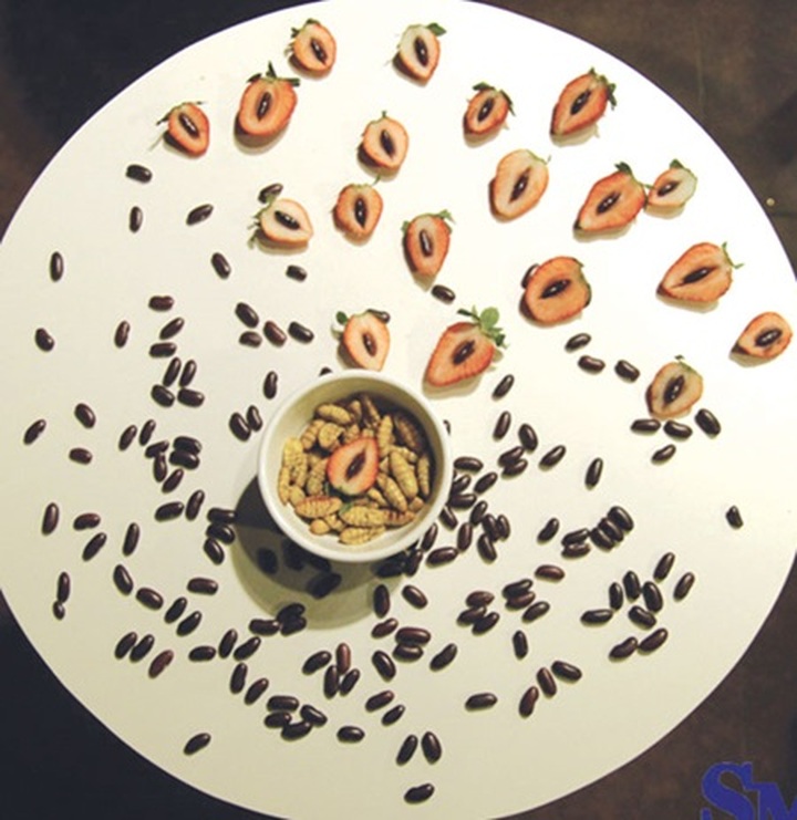 Art exhibition exposes food on plates, waiting people - 1 Art exhibition exposes food on plates, waiting people - 1