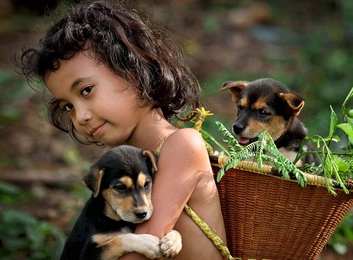 Vietnamese photographers snap up international awards - 1 Vietnamese photographers snap up international awards - 1