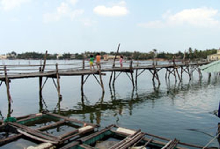 Lagoon known for seafood - 1