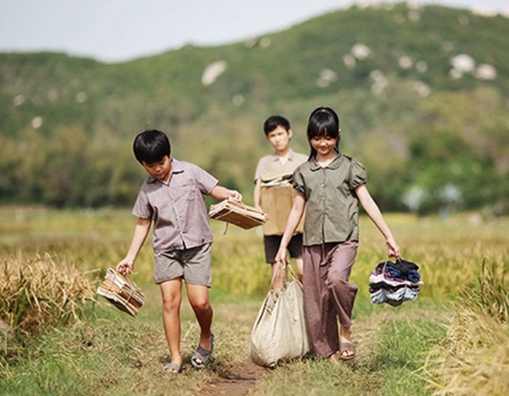 Vietnam movies distributed abroad under studio deal - 1