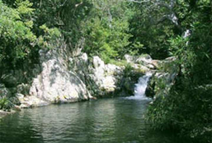 Tourists discover nature on trek through national park - 1