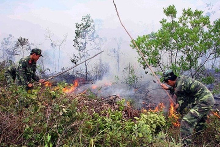 Officials warn of forest fires - 1