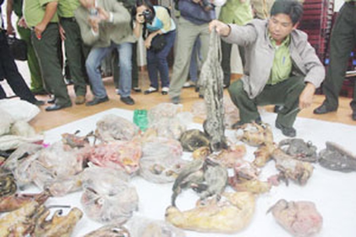 Wildlife traffickers held, 16 rare animals rescued - 1